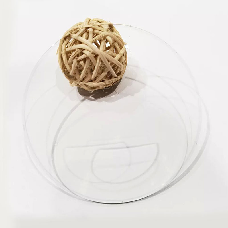 1.499 Lentila bifocală cu vârf plat